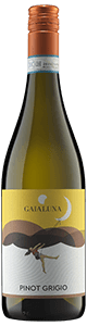 Tomasella Pinot Gaialuna